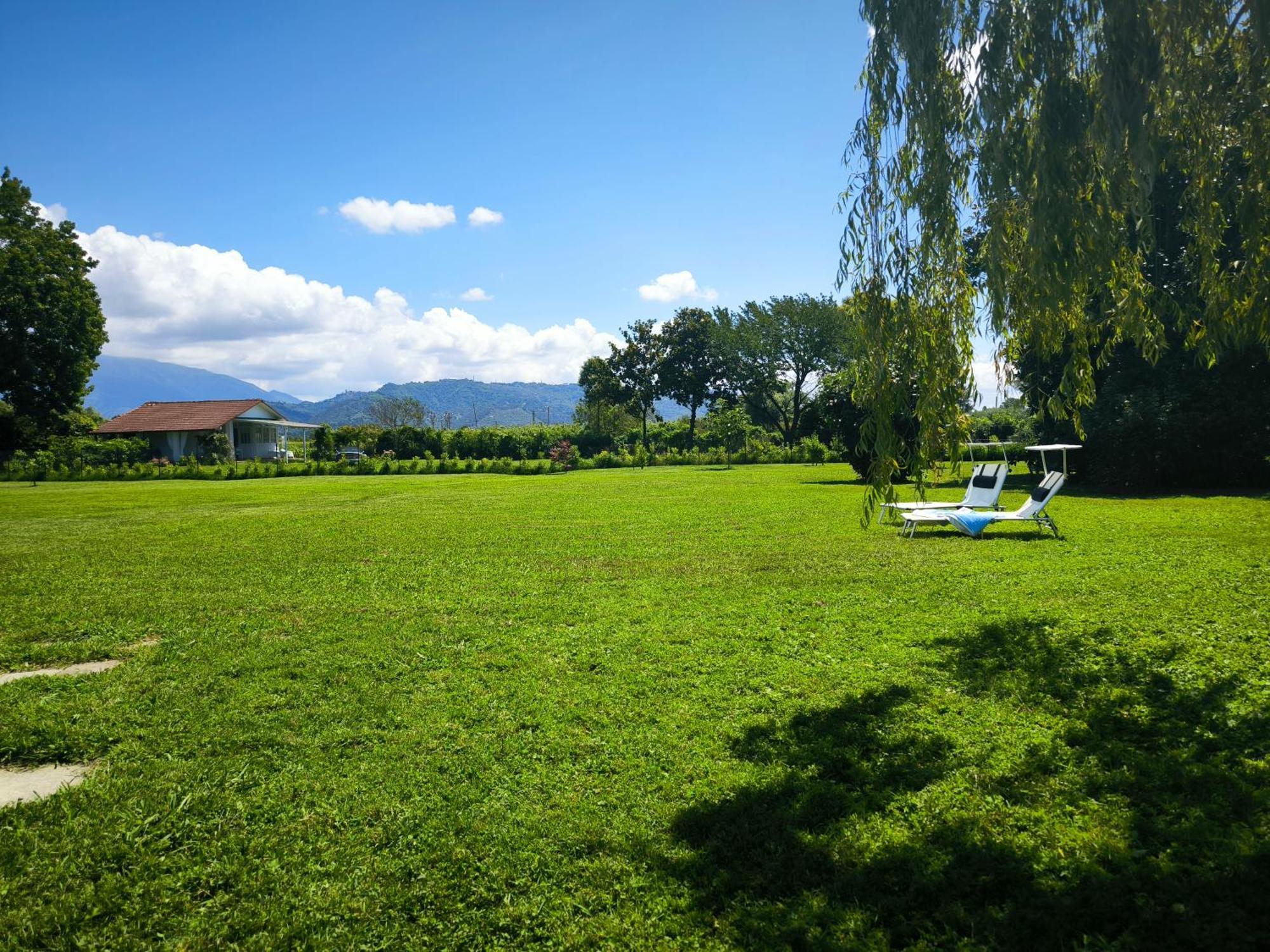 Versilia - Pietrasanta - Le Colmate Guesthouse Тонфано Екстериор снимка