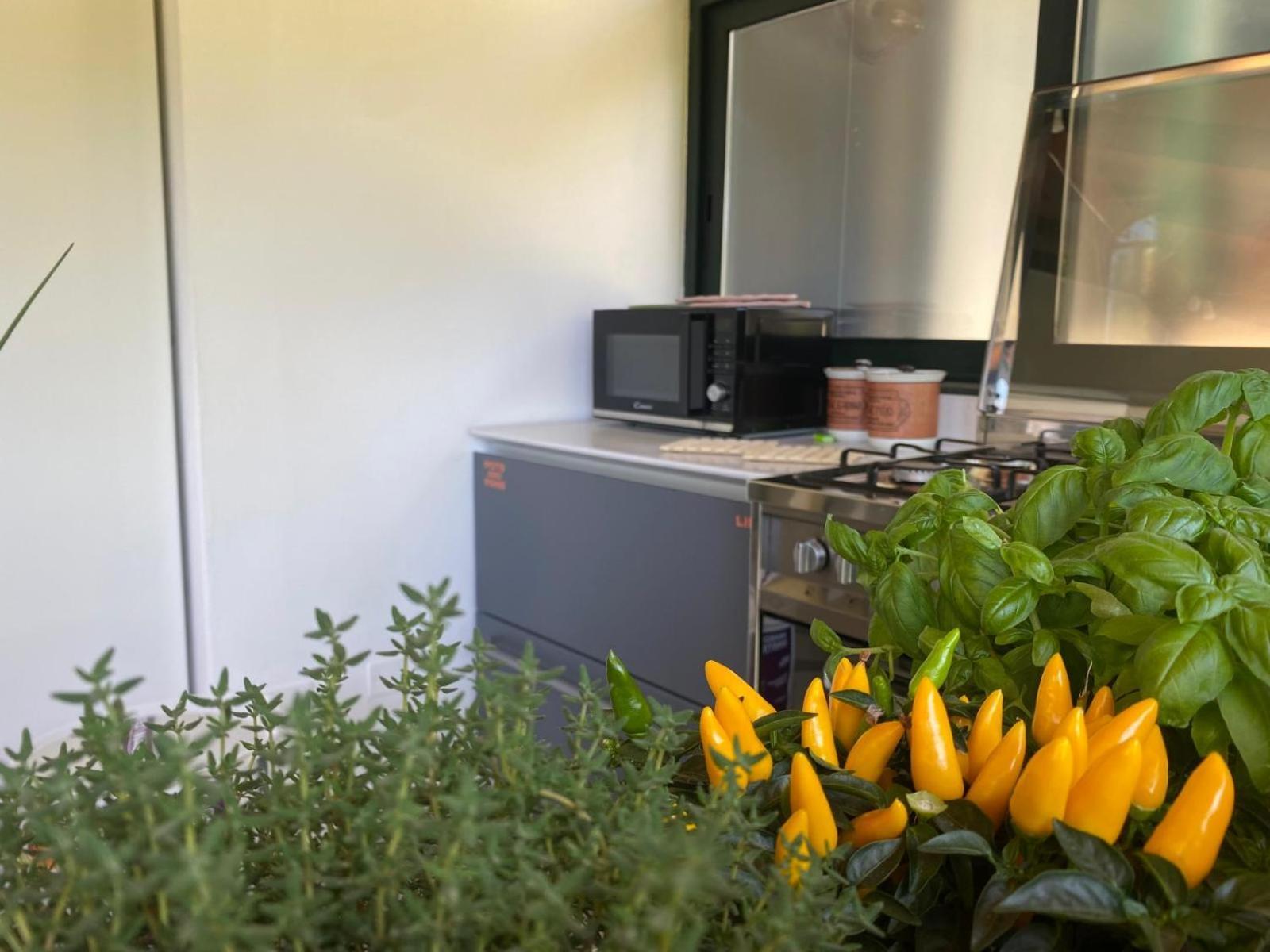 Versilia - Pietrasanta - Le Colmate Guesthouse Тонфано Екстериор снимка